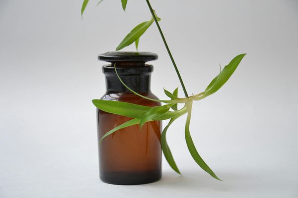 Prodloužená lekce relaxační jógy s aromaterapií a zvukovou lázní